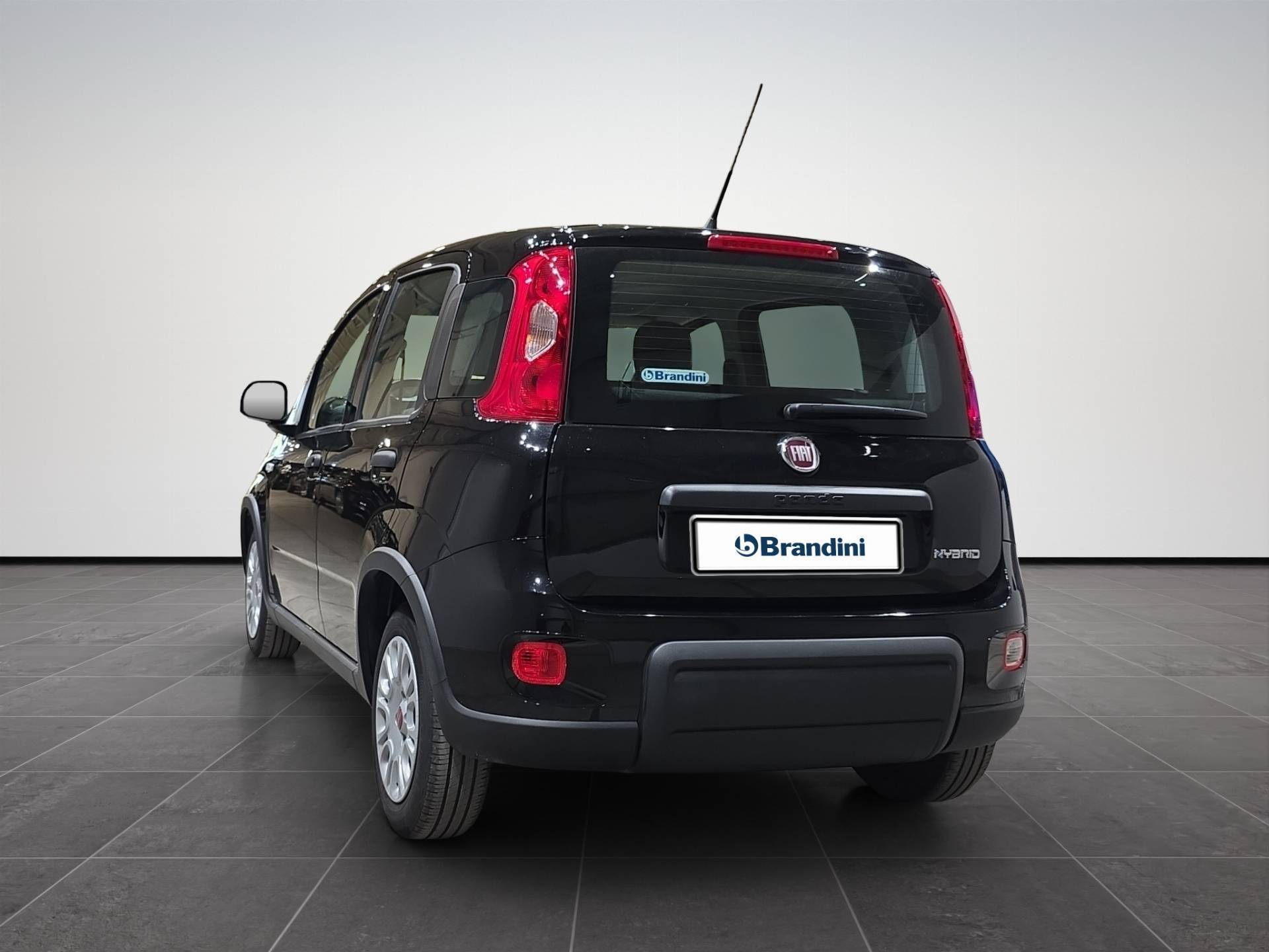 FIAT Panda Panda 1.0 firefly hybrid s&s 70cv usata in pronta consegna - Brandini