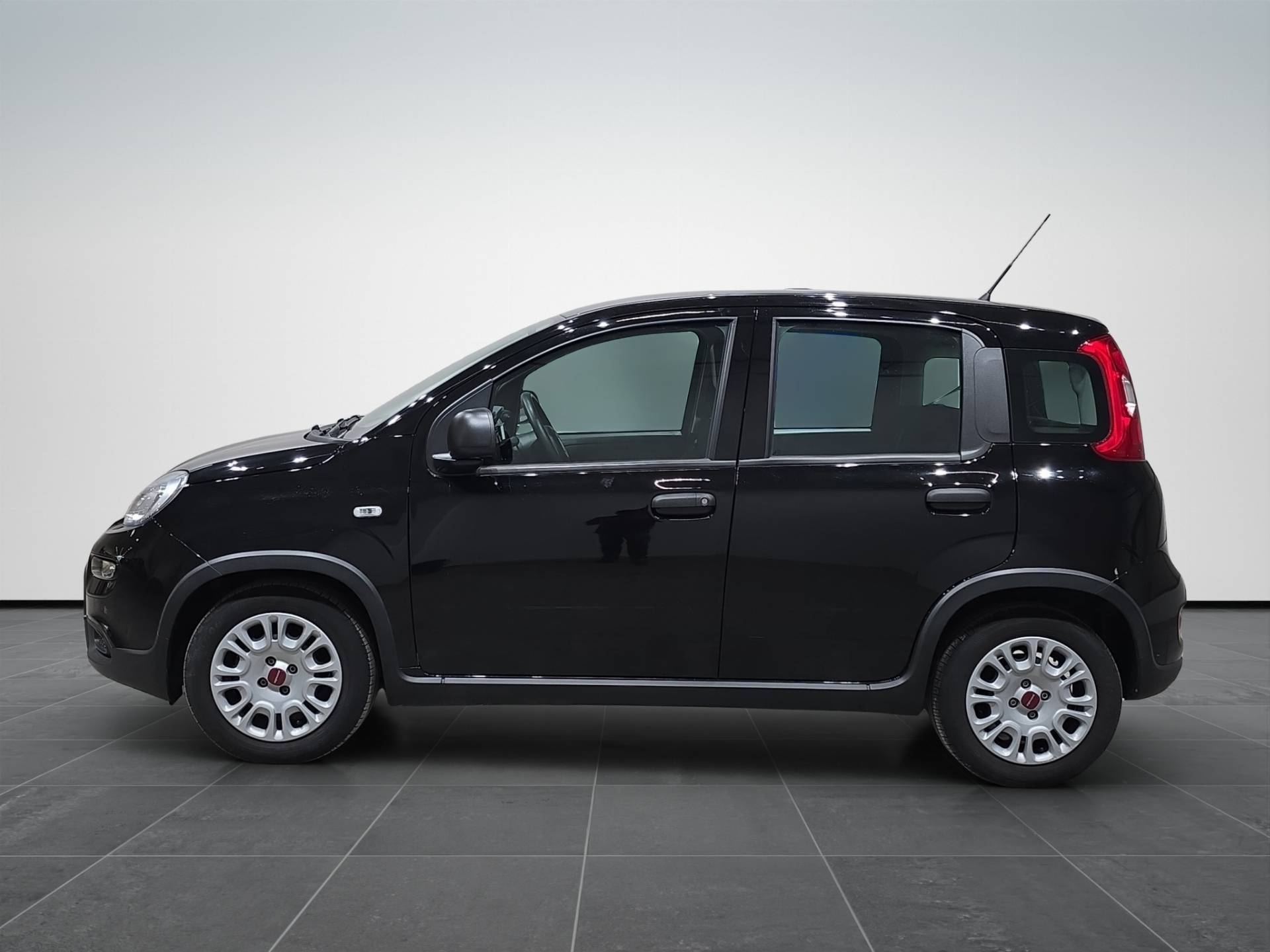 FIAT Panda Panda 1.0 firefly hybrid s&s 70cv usata in pronta consegna - Brandini