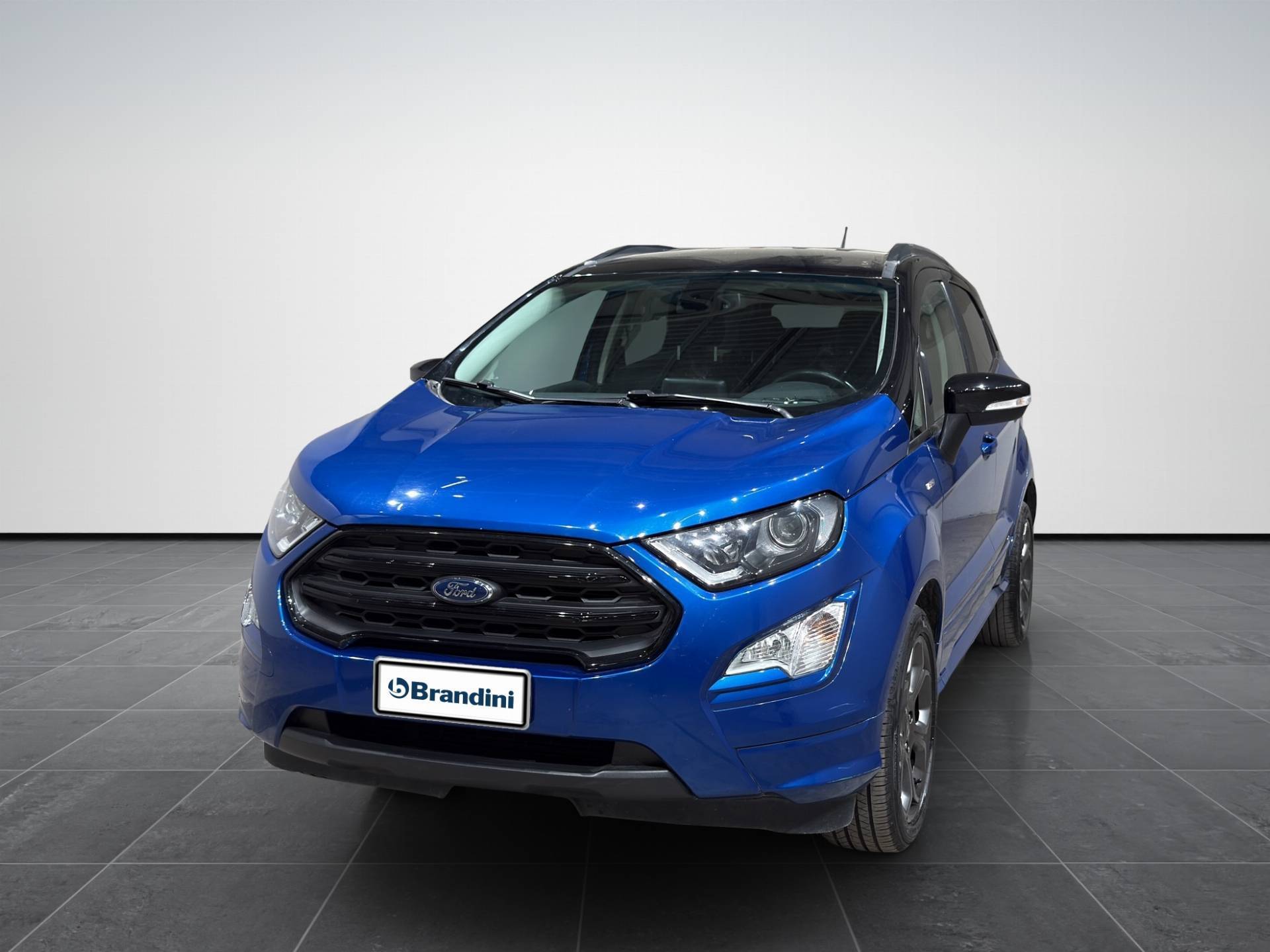 FORD EcoSport EcoSport 1.5 ecoblue ST-line Black Edition s&s 100cv my19 usata in pronta consegna - Brandini