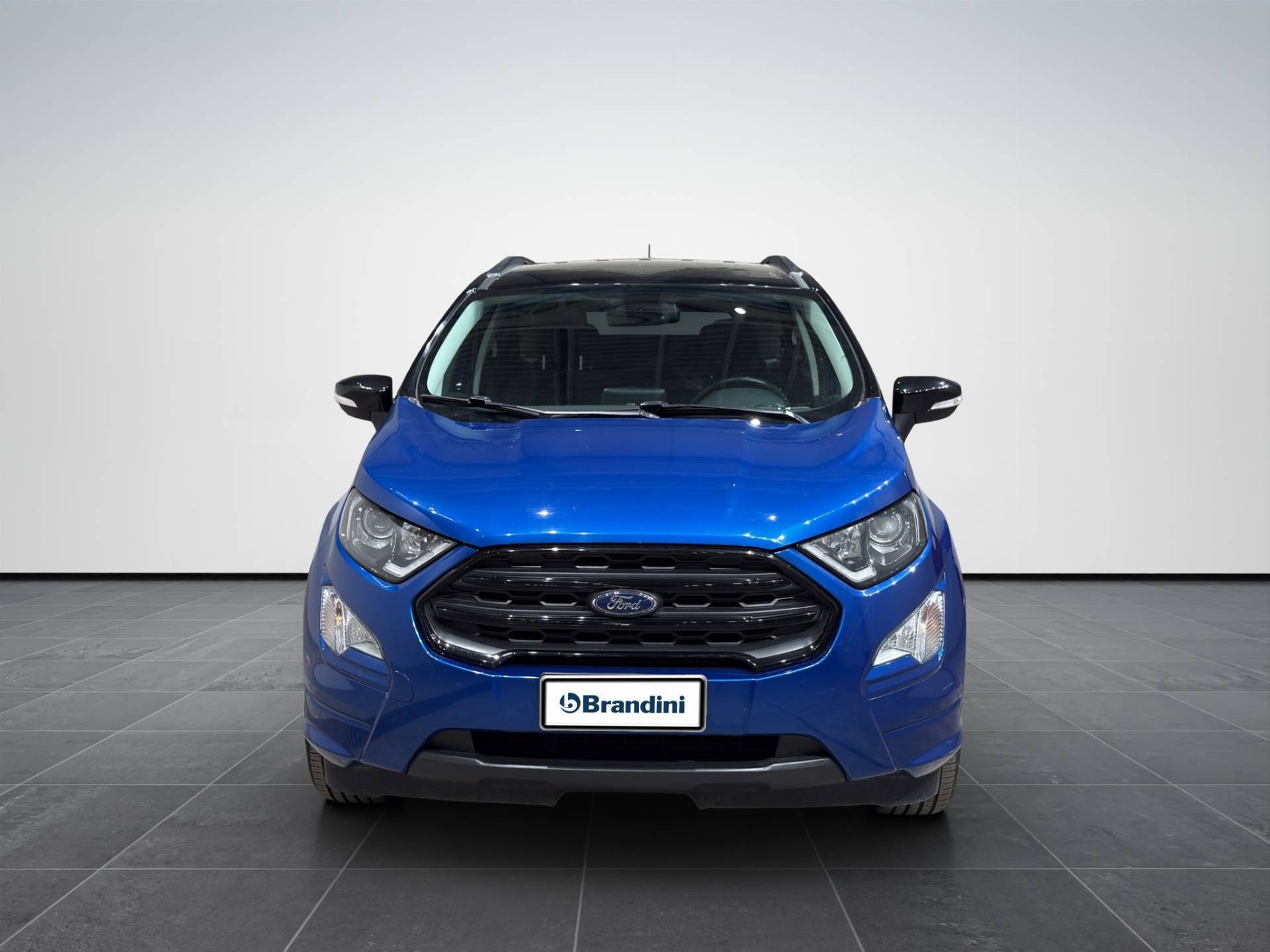 FORD EcoSport EcoSport 1.5 ecoblue ST-line Black Edition s&s 100cv my19 usata in pronta consegna - Brandini