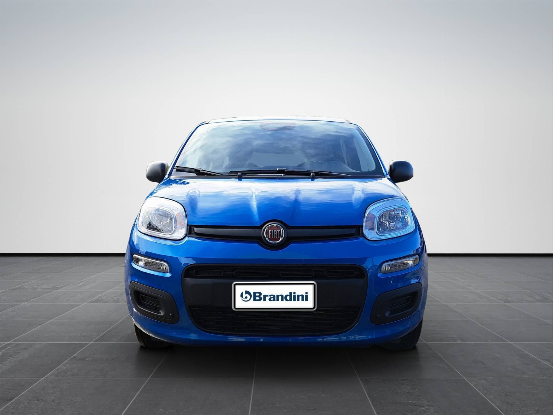 FIAT Panda Pandina 1.0 firefly hybrid Icon s&s 65cv usata in pronta consegna - Brandini