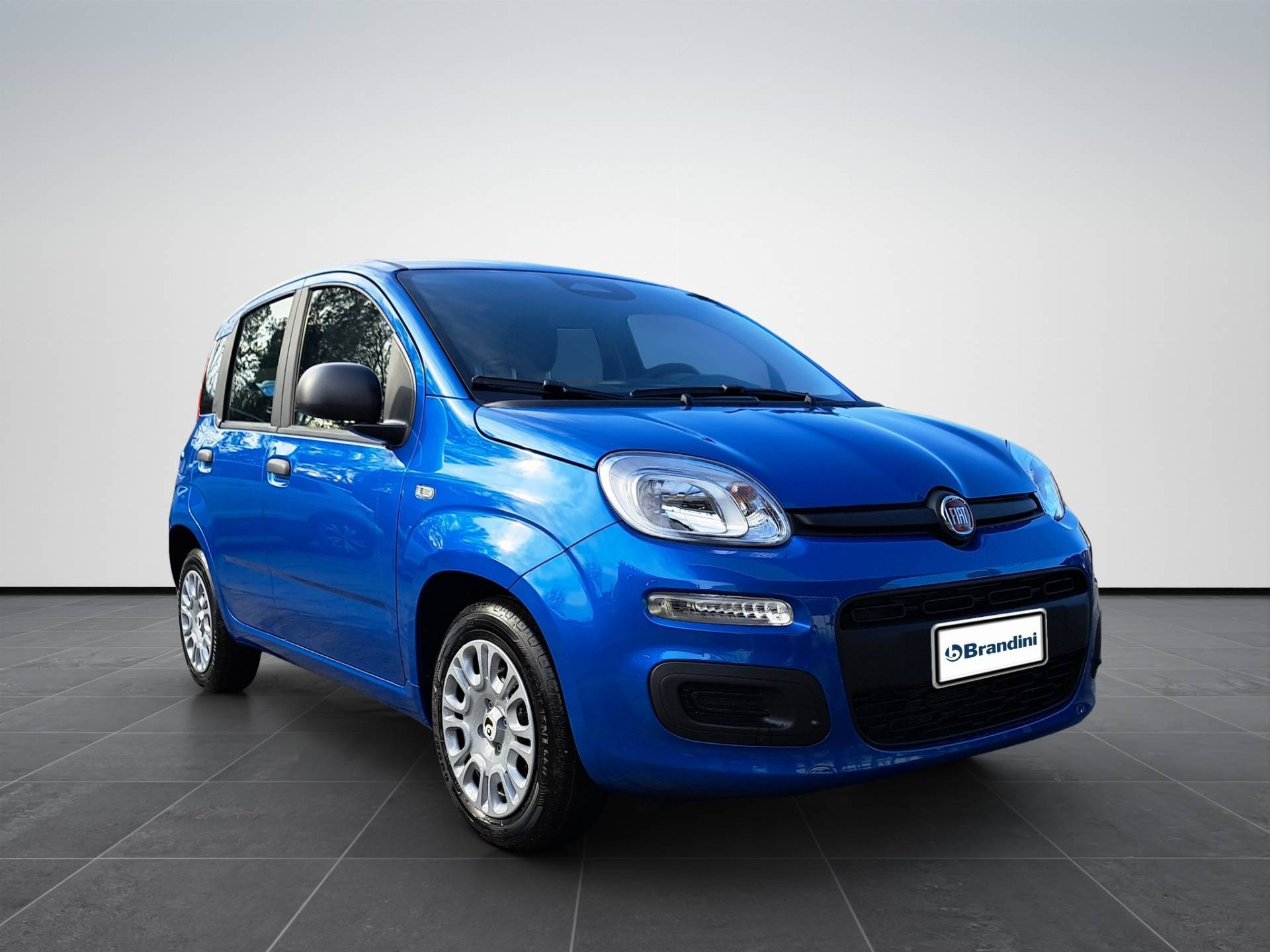 FIAT Panda Pandina 1.0 firefly hybrid Icon s&s 65cv usata in pronta consegna - Brandini