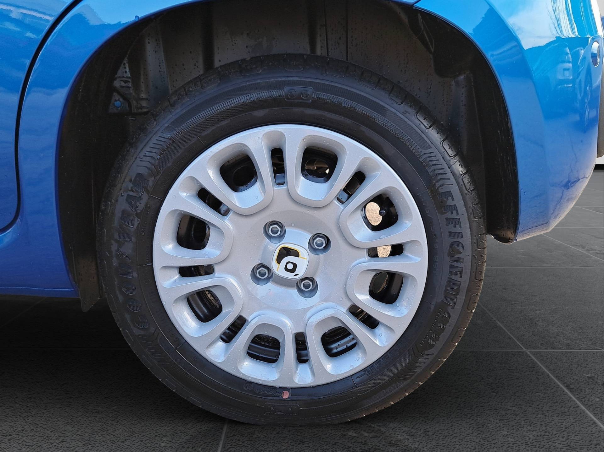 FIAT Panda Pandina 1.0 firefly hybrid Icon s&s 65cv usata in pronta consegna - Brandini