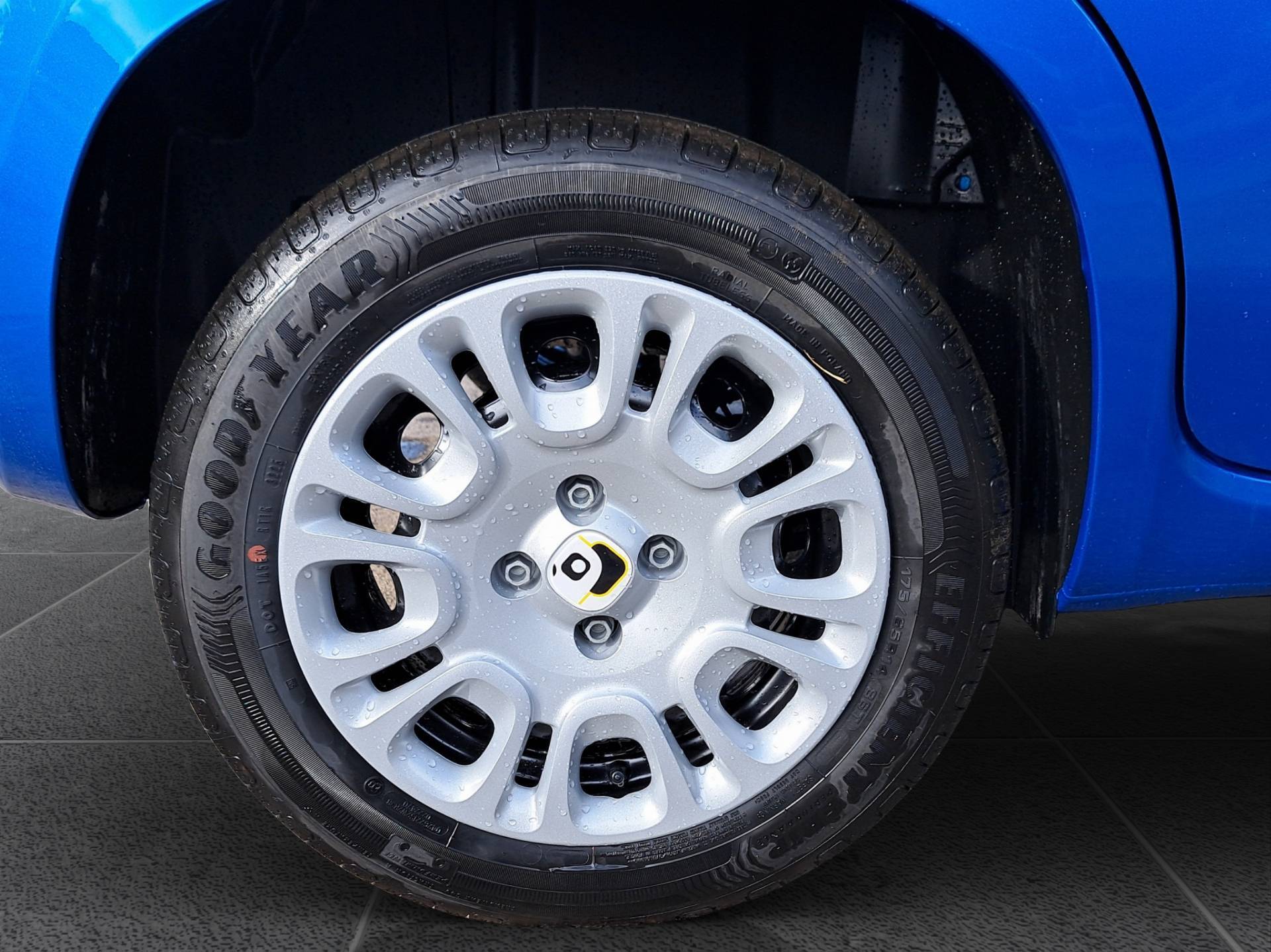 FIAT Panda Pandina 1.0 firefly hybrid Icon s&s 65cv usata in pronta consegna - Brandini