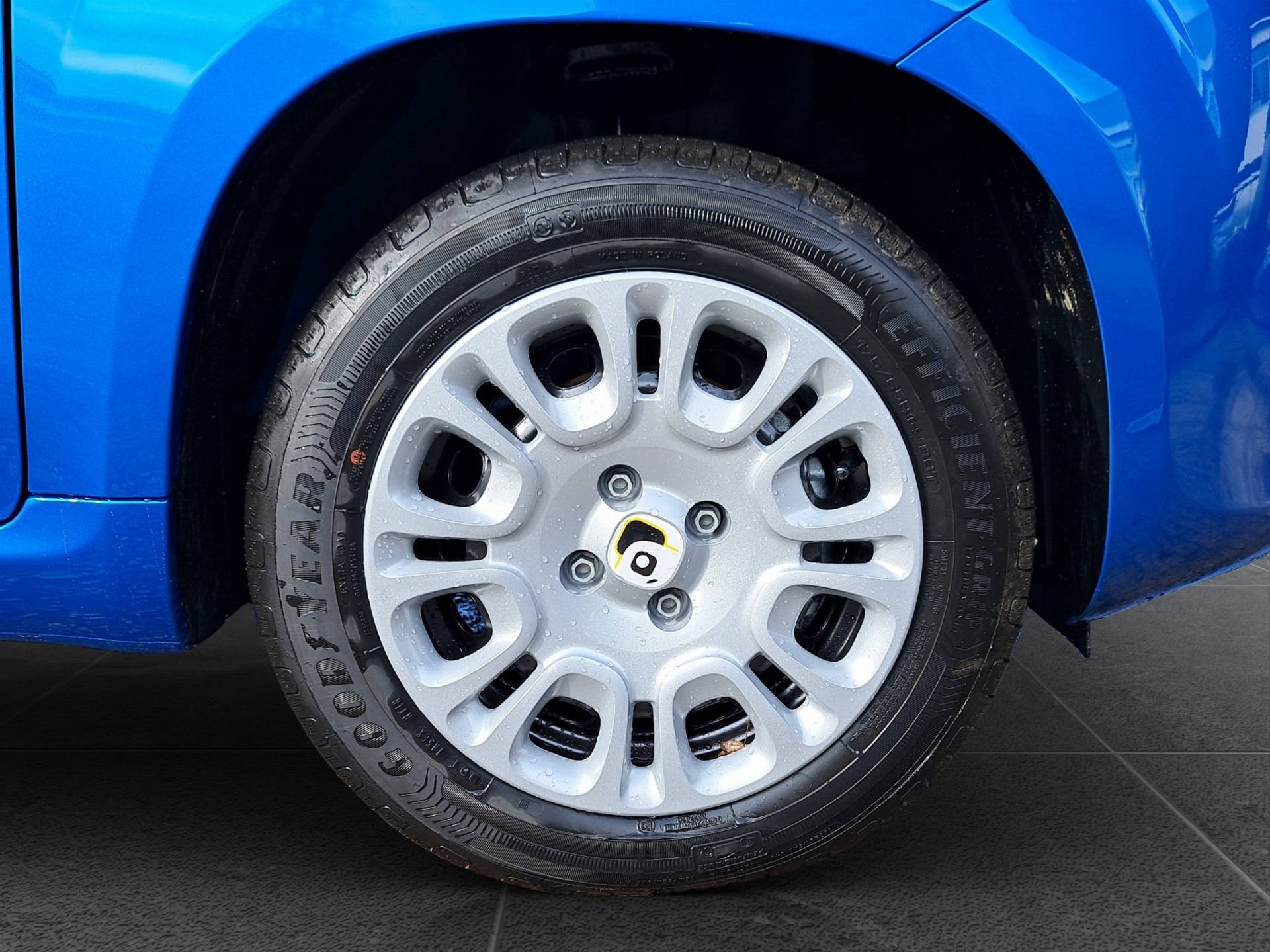 FIAT Panda Pandina 1.0 firefly hybrid Icon s&s 65cv usata in pronta consegna - Brandini