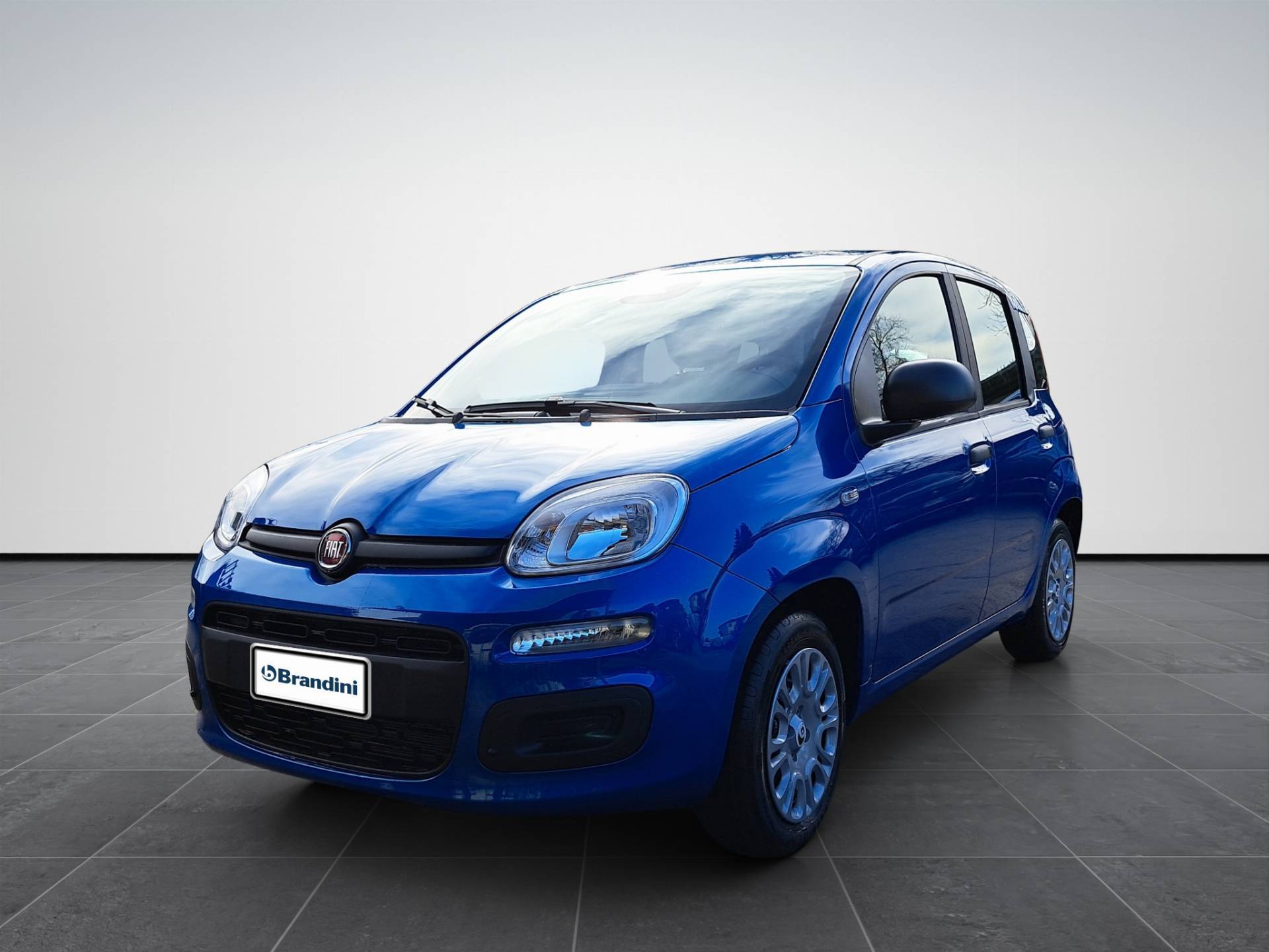 FIAT Panda Pandina 1.0 firefly hybrid Icon s&s 65cv usata in pronta consegna - Brandini