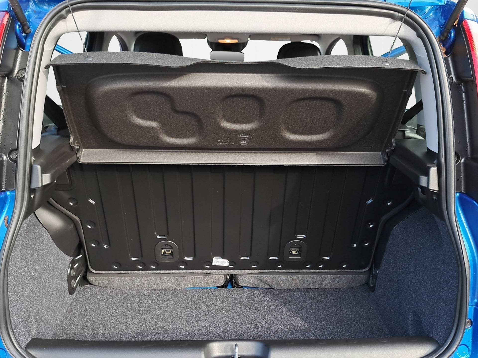 FIAT Panda Pandina 1.0 firefly hybrid Icon s&s 65cv usata in pronta consegna - Brandini