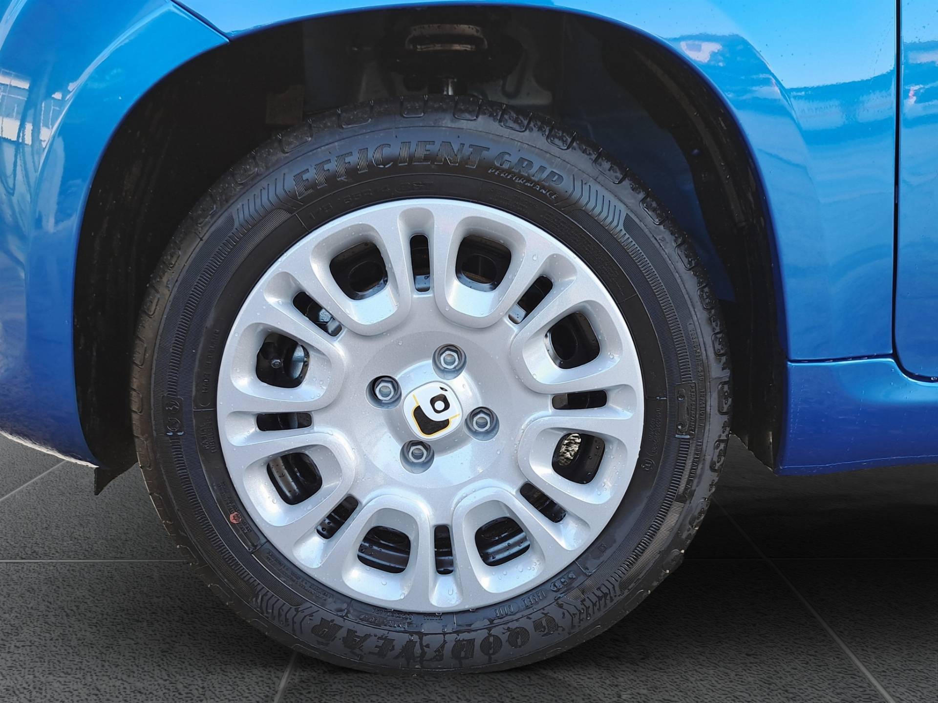 FIAT Panda Pandina 1.0 firefly hybrid Icon s&s 65cv usata in pronta consegna - Brandini