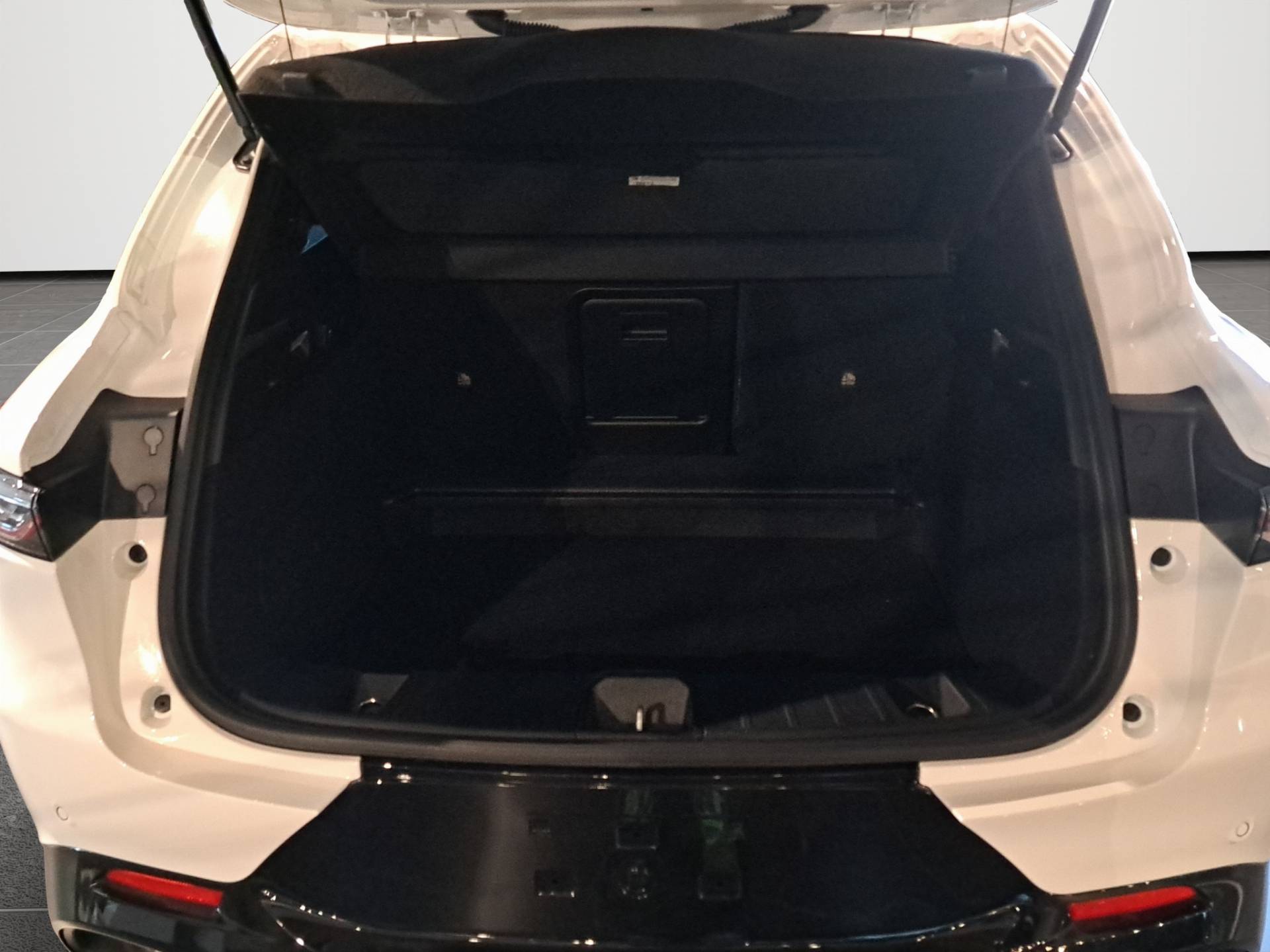 ALFA ROMEO Tonale Tonale 1.5 hybrid Sprint 175cv tct7 usata in pronta consegna - Brandini