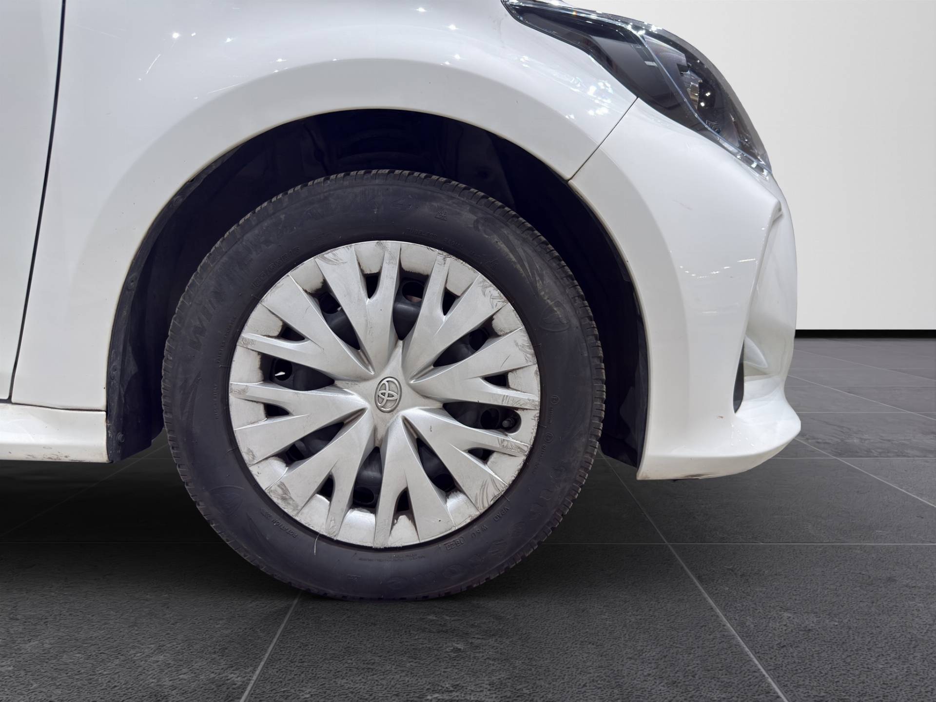 TOYOTA Yaris Yaris 1.5h Business usata in pronta consegna - Brandini