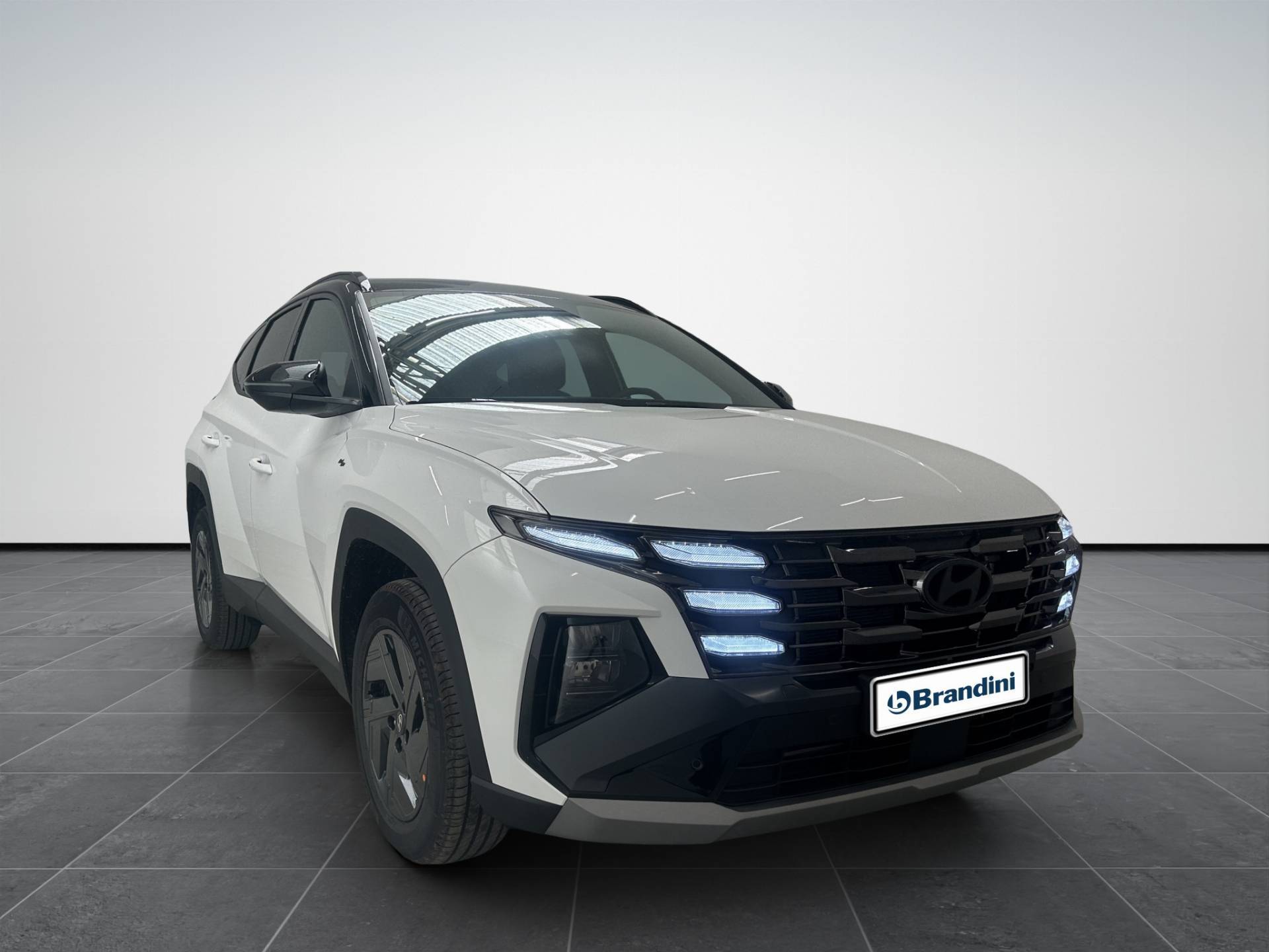 Auto Venduta - HYUNDAI Tucson Tucson 1.6 hev Dark Line 2wd 239cv auto usata in pronta consegna - Brandini