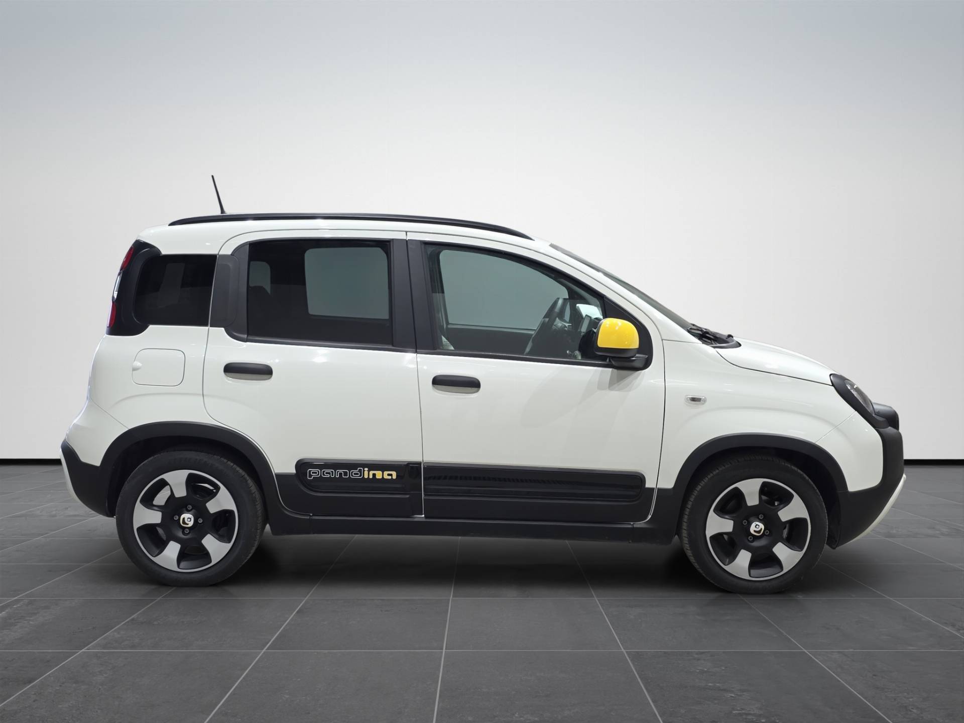 Auto Venduta - FIAT Panda Pandina 1.0 firefly hybrid s&s 70cv usata in pronta consegna - Brandini