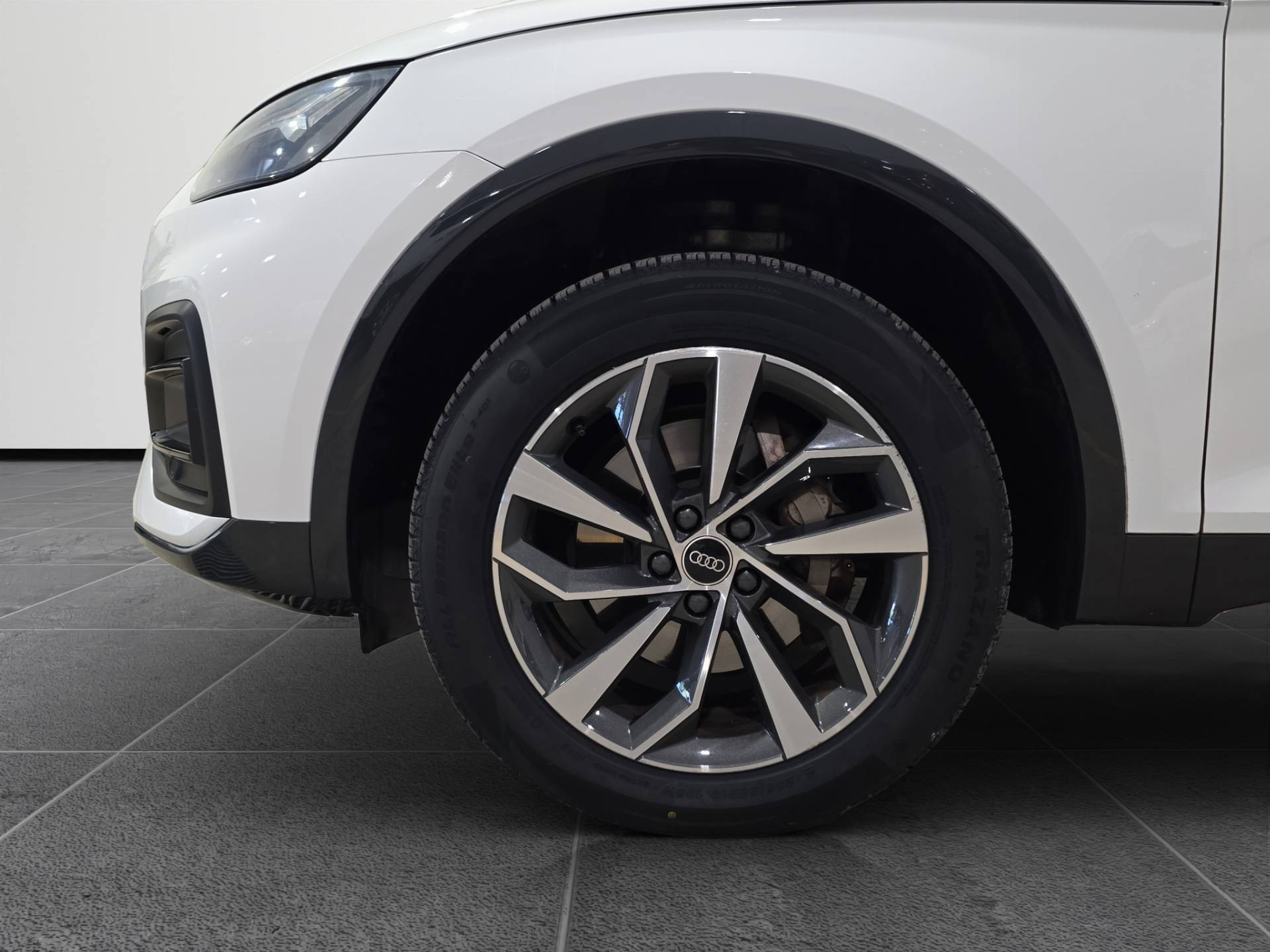 AUDI Q5 Q5 Sportback 40 2.0 tdi mhev 12V Business Advanced quattro s tronic usata in pronta consegna - Brandini
