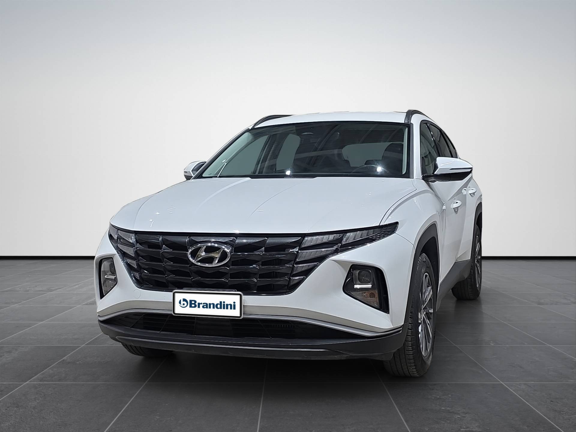 HYUNDAI Tucson Tucson 1.6 crdi Xline 2wd usata in pronta consegna - Brandini
