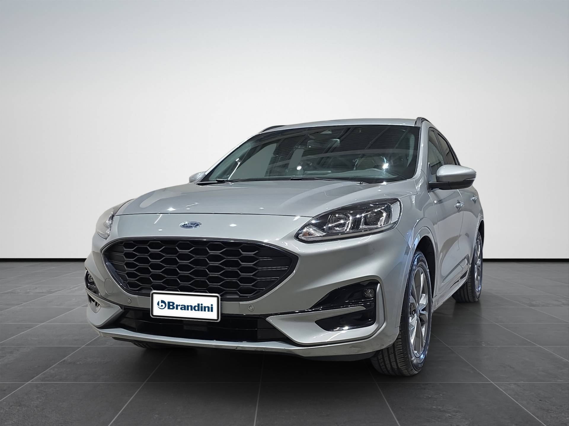 FORD Kuga Kuga 2.5 full hybrid ST-Line X Design 2wd 190cv cvt usata in pronta consegna - Brandini