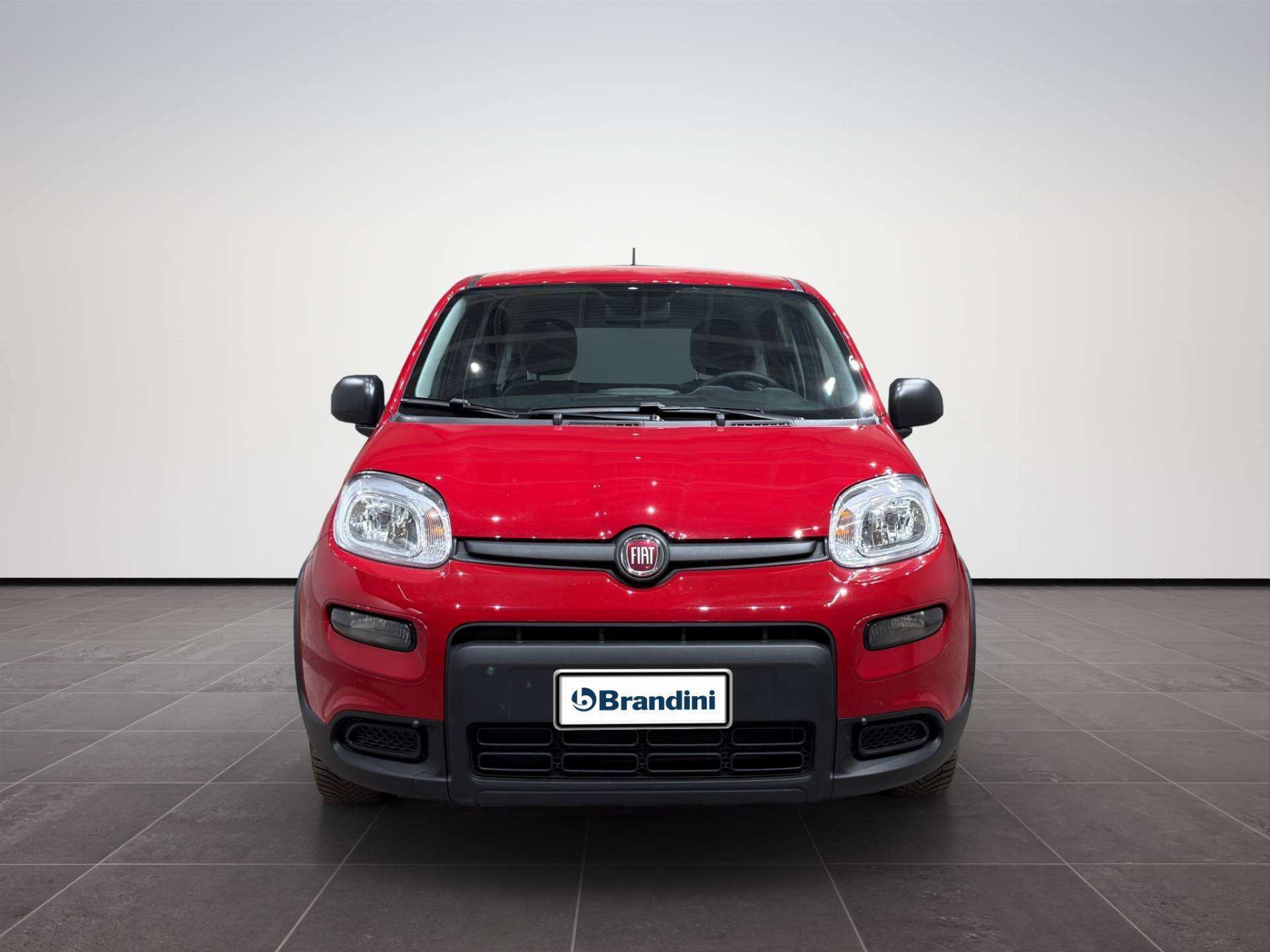 Auto Venduta - FIAT Panda Panda 1.0 hybrid City Life s&s 70cv usata in pronta consegna - Brandini
