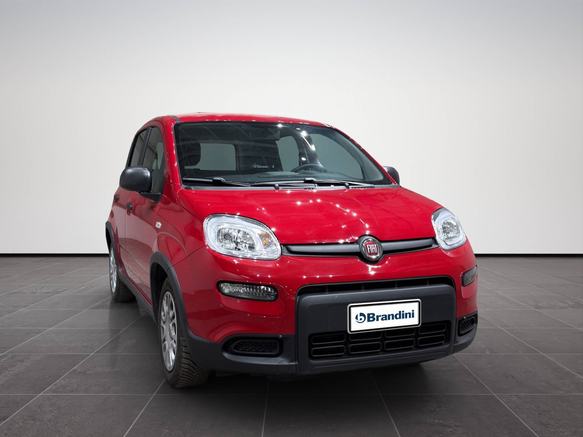 Auto Venduta - FIAT Panda Panda 1.0 hybrid City Life s&s 70cv usata in pronta consegna - Brandini
