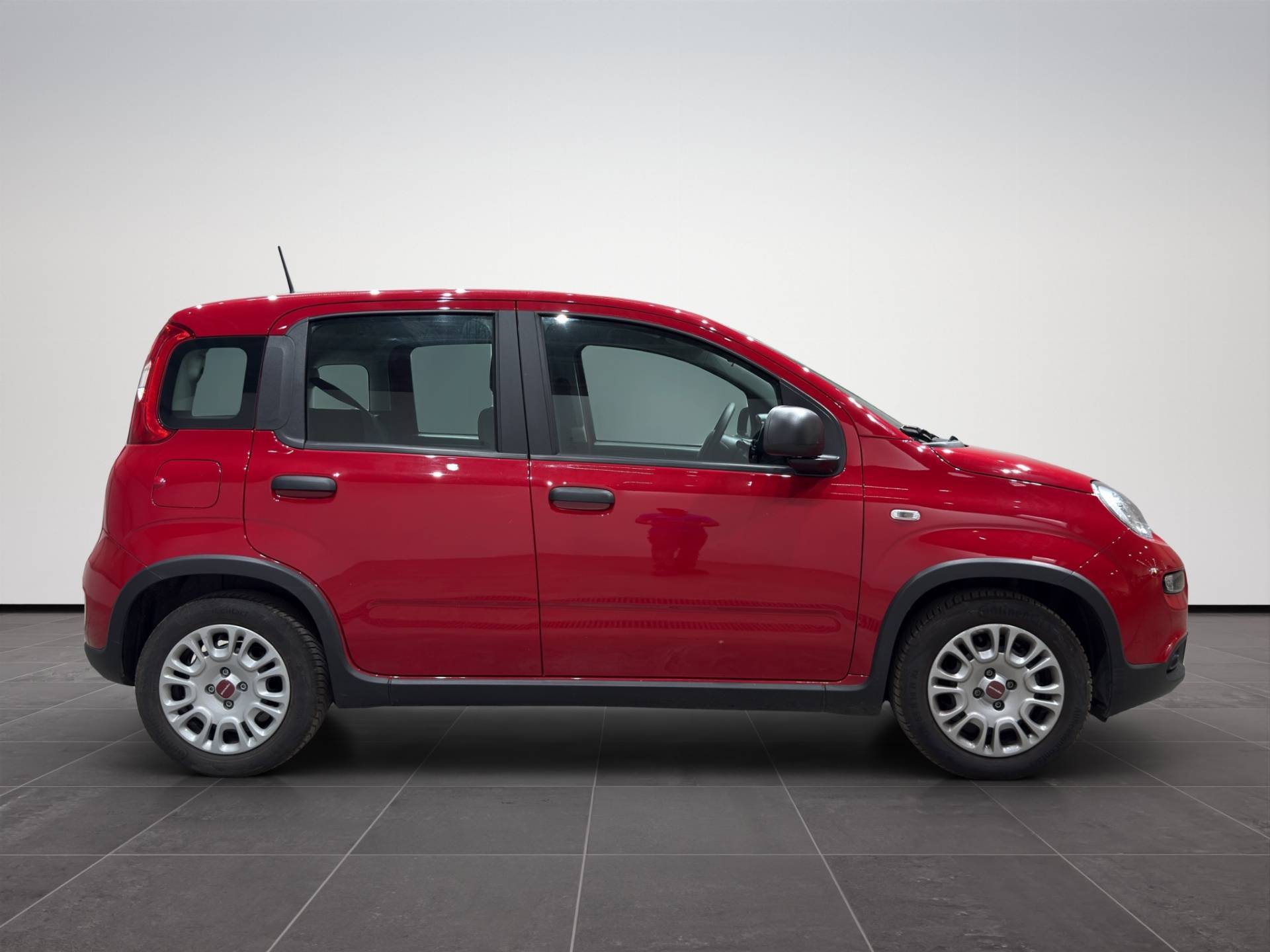 Auto Venduta - FIAT Panda Panda 1.0 hybrid City Life s&s 70cv usata in pronta consegna - Brandini