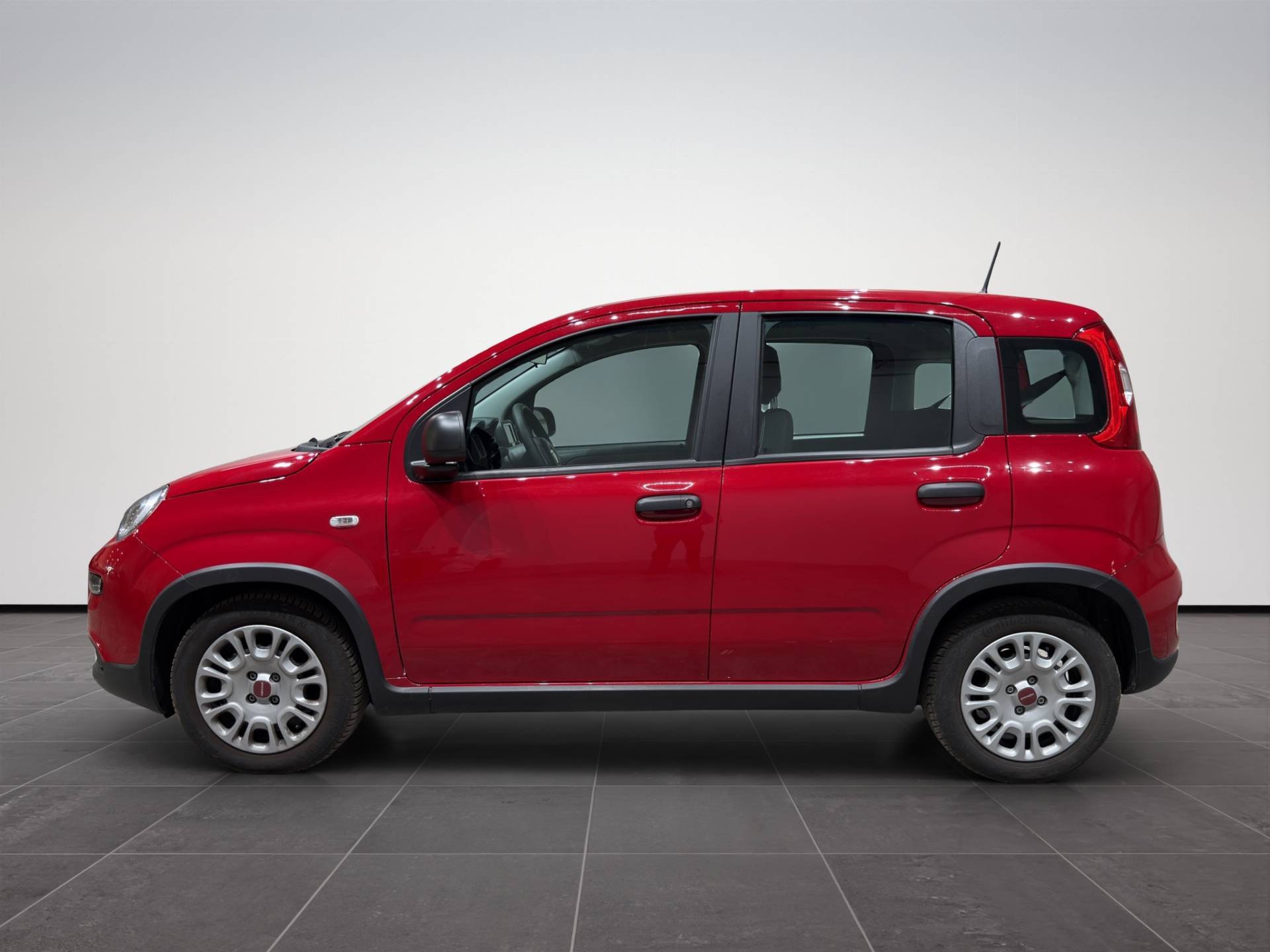 Auto Venduta - FIAT Panda Panda 1.0 hybrid City Life s&s 70cv usata in pronta consegna - Brandini