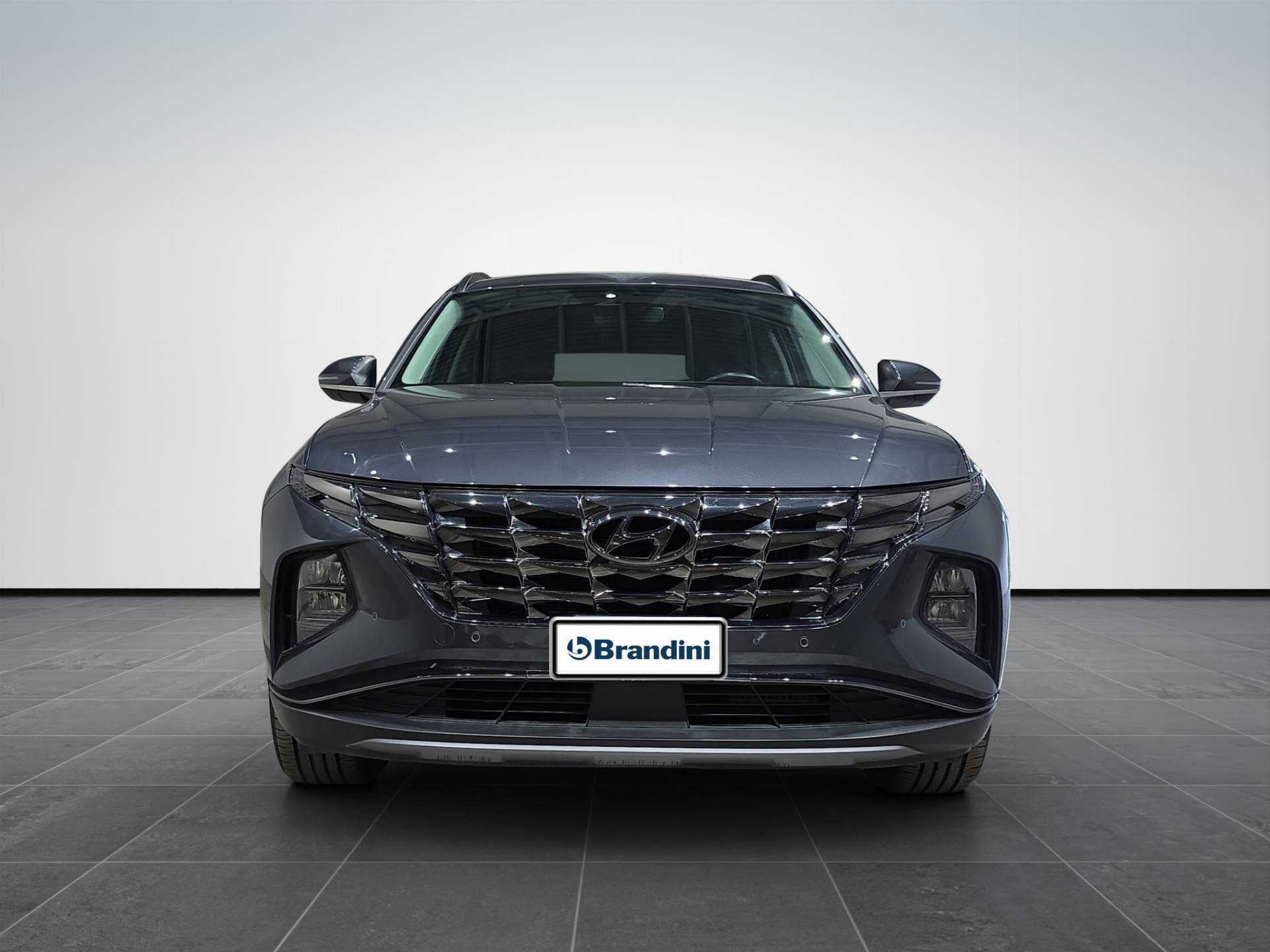 Auto Venduta - HYUNDAI Tucson Tucson 1.6 hev Exellence 2wd auto usata in pronta consegna - Brandini