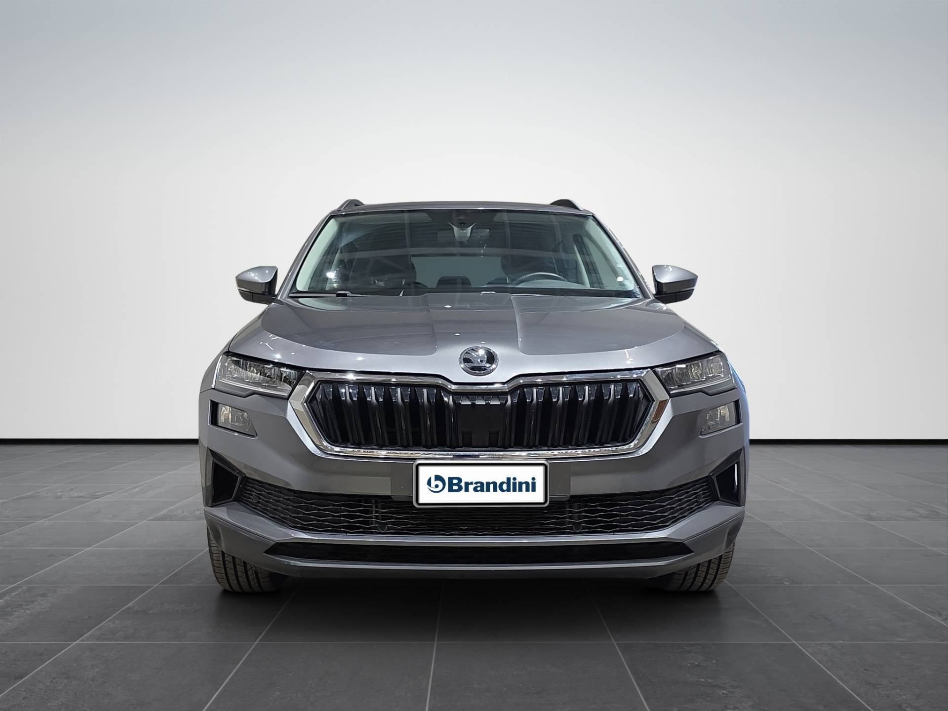 SKODA Karoq Karoq 1.5 tsi Style usata in pronta consegna - Brandini