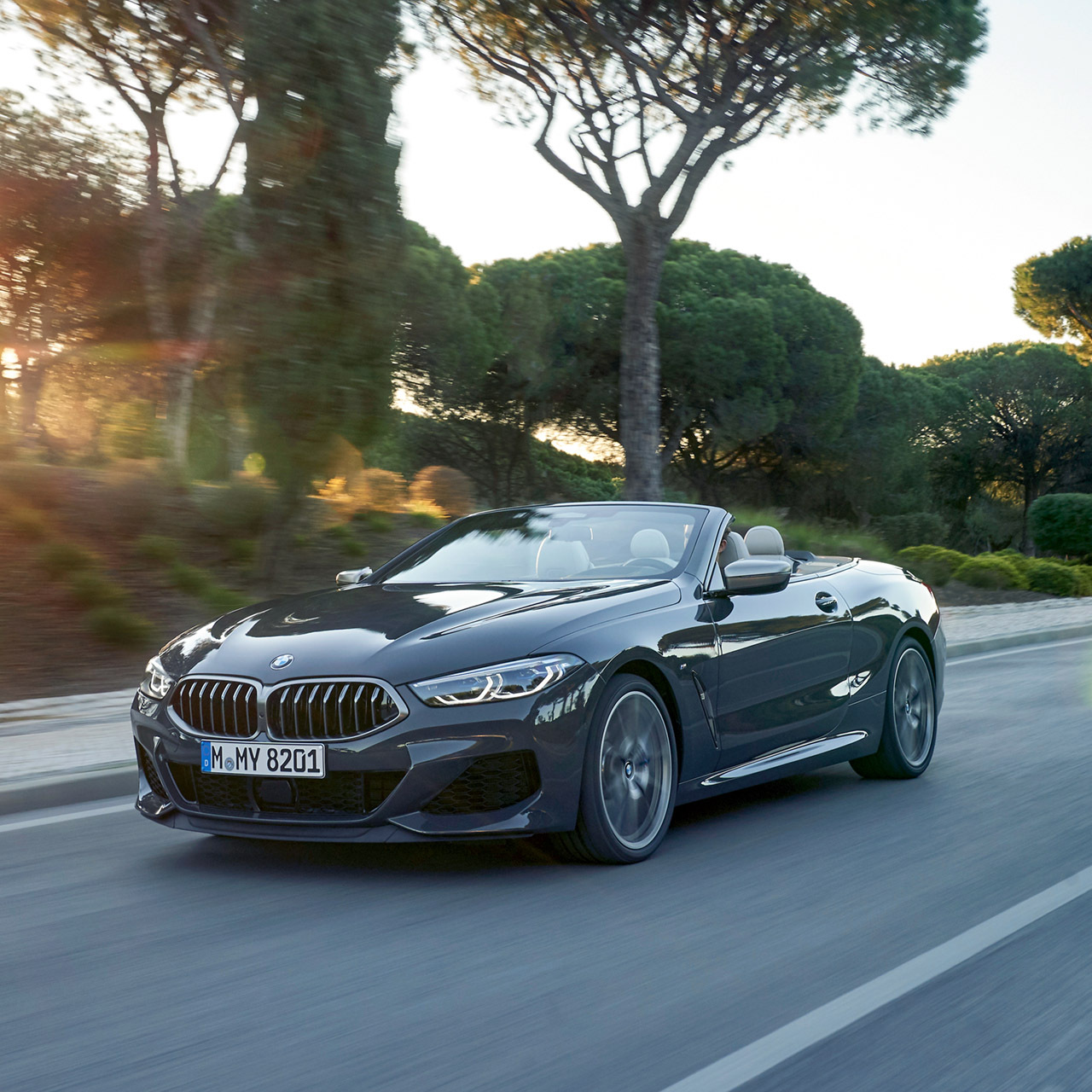 BMW Serie 8 Cabrio