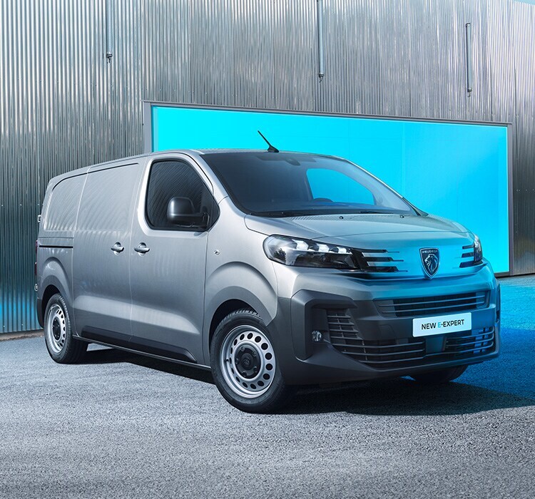 PEUGEOT Expert Combi